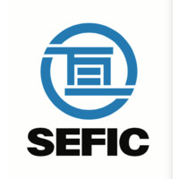 Shanghai Eternal Faith Industry Co.,Ltd logo - Similar company to Sinoges Industry Equipment (Wuhan) Co., Ltd.