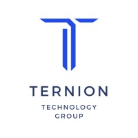 Ternion Technology Group logo - Similar company to Cactus It