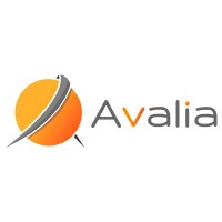 Avalia s.a logo - Similar company to Binsurtek Tpa