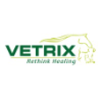 Vetrix Inc logo - Similar company to Vetrix