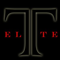 Technical Elite Inc logo - Similar company to Nexus Tech-It