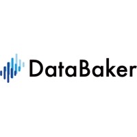 DataBaker Technology logo - Similar company to N K Localizations