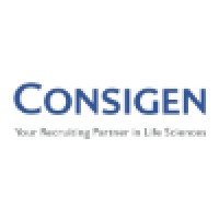 CONSIGEN GmbH logo - Similar company to Rec Web Design