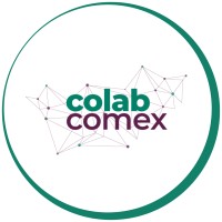 Colab Comex Consultoria em Comércio Exterior logo - Similar company to Cnx Global