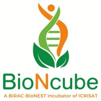 BioNcube of ICRISAT logo - Similar company to Geospatial & Big Data Sciences-Icrisat