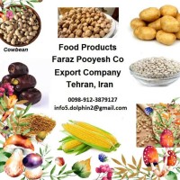 Iran Dates and Pistachio logo - Similar company to Saman Radman Sajad (Sajad Dates)