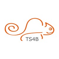 TS4B logo - Similar company to Therealfund