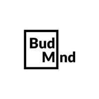 BudiMind Digital Agency logo - Similar company to Pro Digital Agency