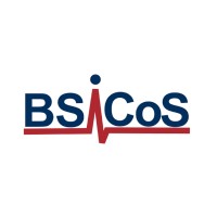 BSICOS Research Group logo - Similar company to Nanbiosis – Icts