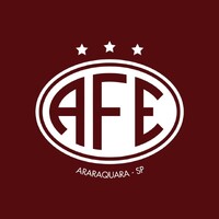 Ferroviária SAF logo - Similar company to Sfera Futebol Clube