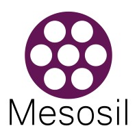 Mesosil logo - Similar company to Spinup At Utm