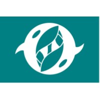 Orca Health, Devon logo - Similar company to Chiro Match Makers