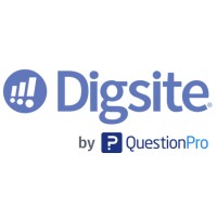 Digsite logo - Similar company to Q-Fi