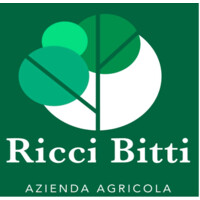 Ricci Bitti Amedeo S.A. logo - Similar company to Gruppo Ega. Professionisti Della Progettazione E Direzione Lavori Di Impianti Elettrici.