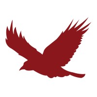 Ravn Alaska logo - Similar company to Alaska Satellite Facility