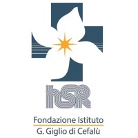 Fondazione Istituto San Raffaele G. Giglio di Cefalù logo - Similar company to Rowen Surgery