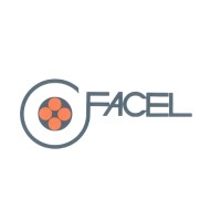 FACEL logo - Similar company to Fd Elecwires