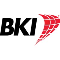 BKI Worldwide logo - Similar company to Business Knowledge Integration