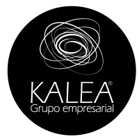 Kalea Grupo Empresarial logo - Similar company to Top Develop