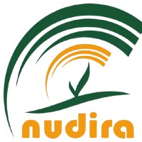 Nudira Sumber Daya Indonesia logo - Similar company to Connectivity U