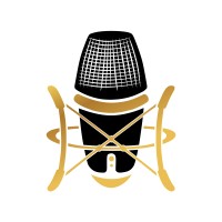 Voice Over Agency logo - Similar company to Dinlebi