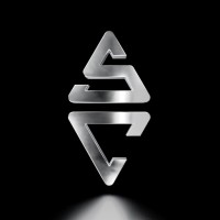 Steelcoin logo - Similar company to Oenpay Financial Innovation Hub Gmbh