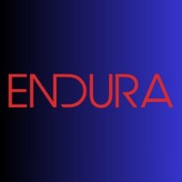 Endura Engineering logo - Similar company to Manoda