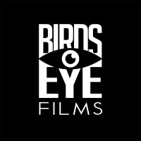 BirdsEye Films logo - Similar company to Ambistic™