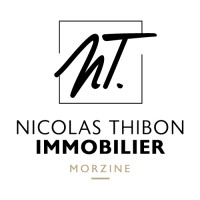 Agence NICOLAS THIBON IMMOBILIER Morzine logo - Similar company to Groupe Thibon