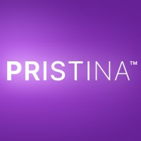 Pristina AI logo - Similar company to Prishtina Dynamics