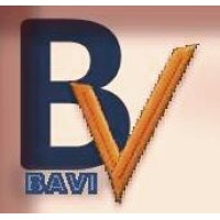 BAVI Engineering Contracting Company logo - Similar company to Baví