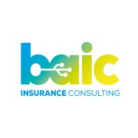B&A Insurance Consulting s.r.o. logo - Similar company to Vig It Digital Solutions