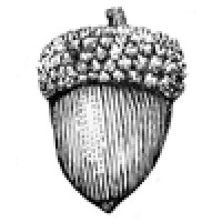 Mighty Acorn logo - Similar company to Mighty Acorn Digital