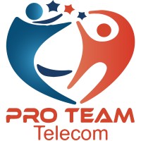 Proteamtelecom Egypt logo - Similar company to Nile System