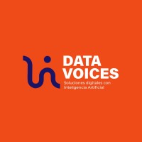 Data Voices logo - Similar company to Levint Partners