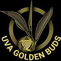 Uva Golden Buds Ceylon Tea Export logo - Similar company to The Tea Project