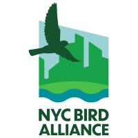 NYC Bird Alliance logo - Similar company to Coalition To Save Hempstead Harbor
