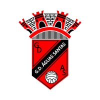 Grupo Desportivo Águas Santas logo - Similar company to Nidgroup