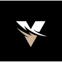 Visvle Productions logo - Similar company to Visionation
