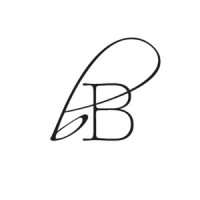 borrowed BLU logo - Similar company to Bulli