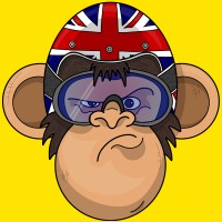 ThrottleChimp - Motorcycle Gear logo - Similar company to Auction Values