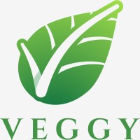 Veggy logo - Similar company to Recodeworld