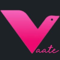 Vaate logo - Similar company to Kauhajoen Kasino