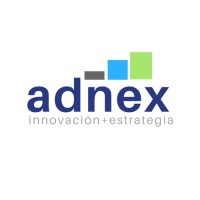 Adnex Consulting Group