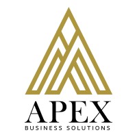 Apex B S logo - Similar company to Pravix