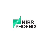 NIBS PHOENIX HR & DM logo - Similar company to Visdil Ventures Private Limited