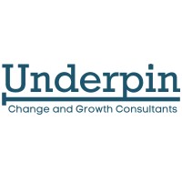 Underpin Business and Charity Consultants logo - Similar company to Triangle Wave Game Development