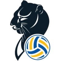 Imoco Volley logo - Similar company to Diecimilauno S.P.A.
