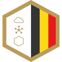 BDIA (Belgian Digital Infrastructure Association) logo - Similar company to Datacenter United