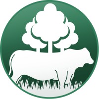 BoiTeca logo - Similar company to Trc - Teak Resources Co.